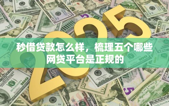 秒借贷款怎么样，梳理五个哪些网贷平台是正规的