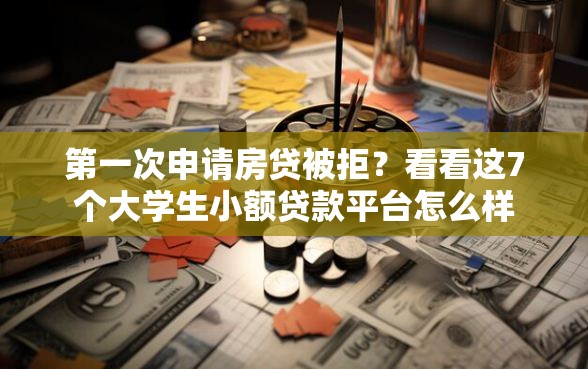 第一次申请房贷被拒？看看这7个大学生小额贷款平台怎么样
