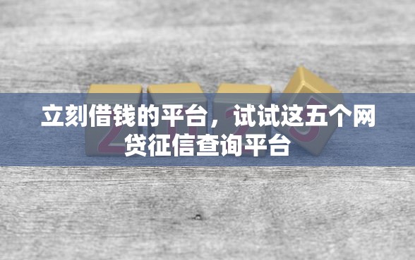 立刻借钱的平台，试试这五个网贷征信查询平台