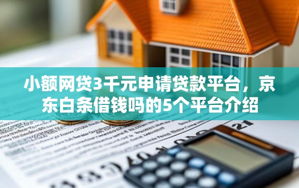 小额网贷3千元申请贷款平台，京东白条借钱吗的5个平台介绍