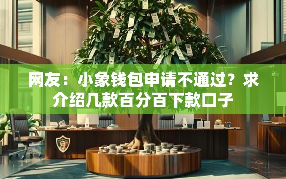 网友：小象钱包申请不通过？求介绍几款百分百下款口子