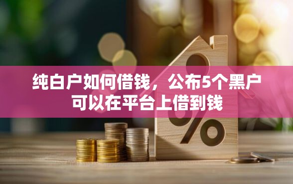 纯白户如何借钱,公布5个黑户可以在平台上借到钱 纯白户如何借钱,公布5个黑户可以在平台上借到钱
