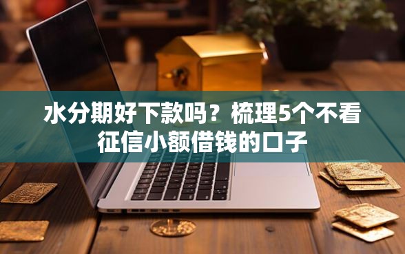 水分期好下款吗？梳理5个不看征信小额借钱的口子