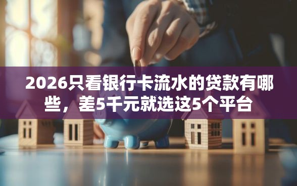 2026只看银行卡流水的贷款有哪些，差5千元就选这5个平台