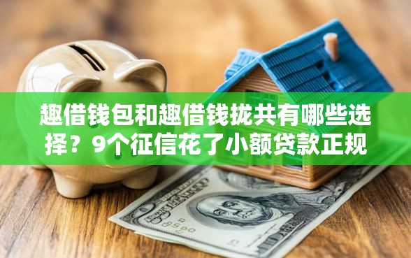趣借钱包和趣借钱拢共有哪些选择？9个征信花了小额贷款正规平台详解