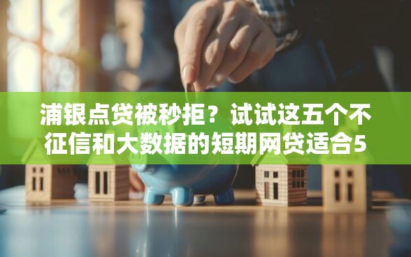 浦银点贷被秒拒？试试这五个不征信和大数据的短期网贷适合58岁的平台