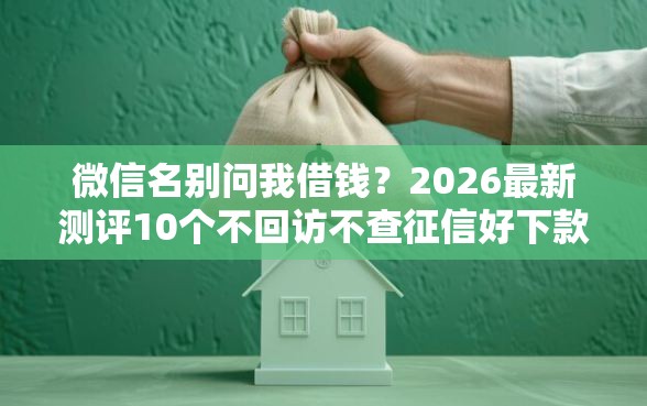 微信名别问我借钱？2026最新测评10个不回访不查征信好下款的口子