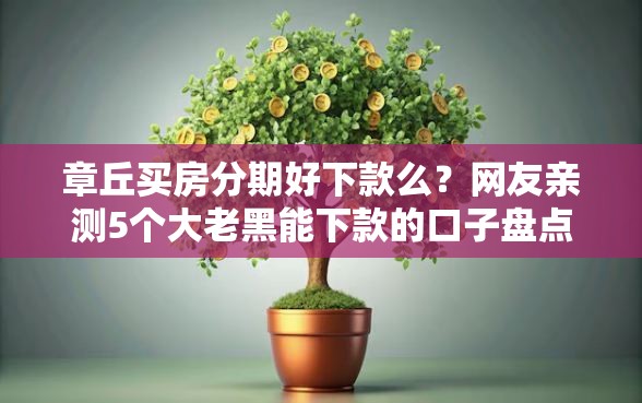 章丘买房分期好下款么？网友亲测5个大老黑能下款的口子盘点