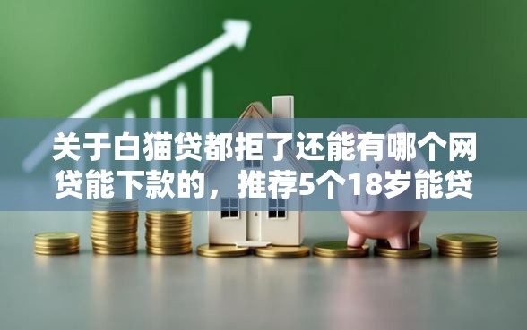 关于白猫贷都拒了还能有哪个网贷能下款的，推荐5个18岁能贷款的平台给你