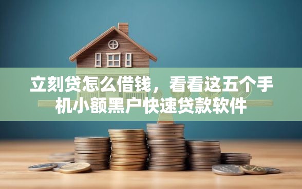 立刻贷怎么借钱，看看这五个手机小额黑户快速贷款软件