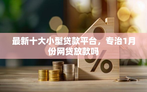 最新十大小型贷款平台，专治1月份网贷放款吗
