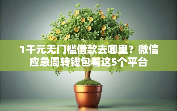 1千元无门槛借款去哪里？微信应急周转钱包看这5个平台