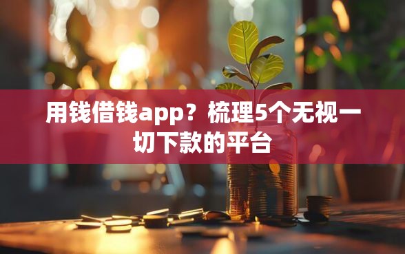 用钱借钱app？梳理5个无视一切下款的平台