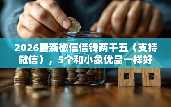 2026最新微信借钱两千五（支持微信），5个和小象优品一样好下款的口子无私分享
