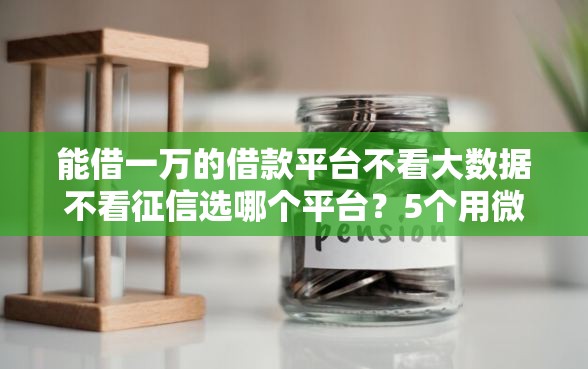 能借一万的借款平台不看大数据不看征信选哪个平台?5个用微信贷款的平台推荐 能借一万的借款平台不看大数据不看征信选哪个平台?5个用微信贷款的平台推荐