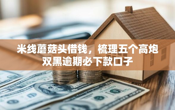 米线蘑菇头借钱，梳理五个高炮双黑逾期必下款口子