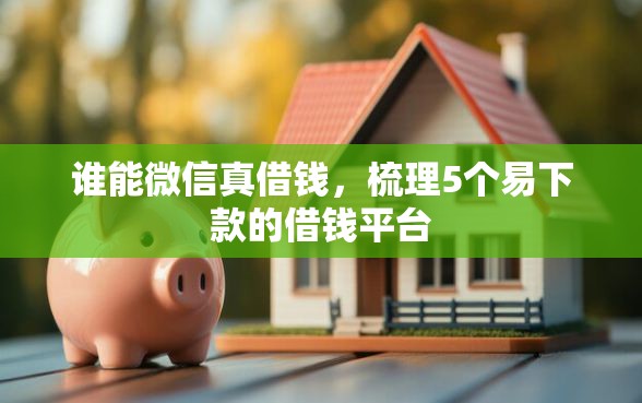 谁能微信真借钱，梳理5个易下款的借钱平台