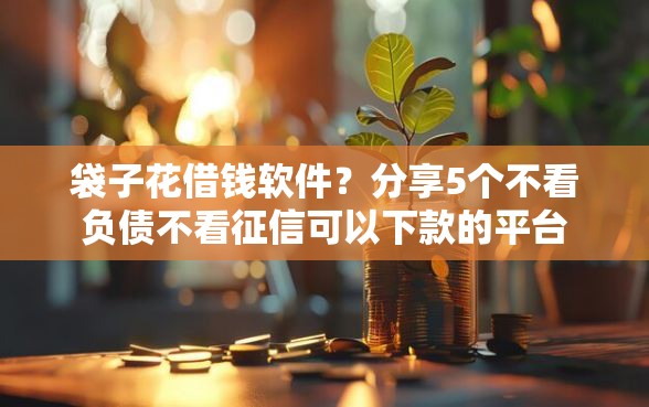 袋子花借钱软件？分享5个不看负债不看征信可以下款的平台