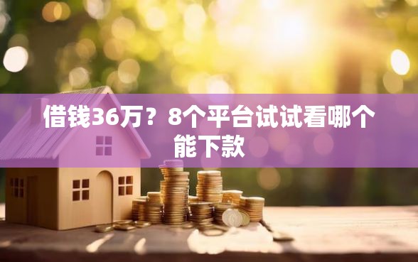 借钱36万？8个平台试试看哪个能下款