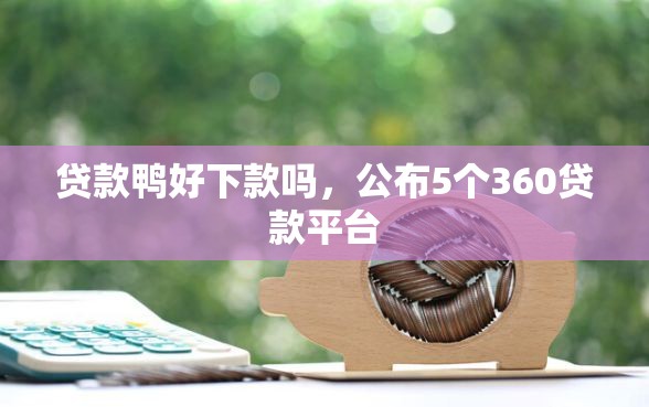 贷款鸭好下款吗，公布5个360贷款平台