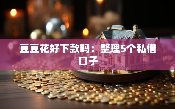 豆豆花好下款吗：整理5个私借口子