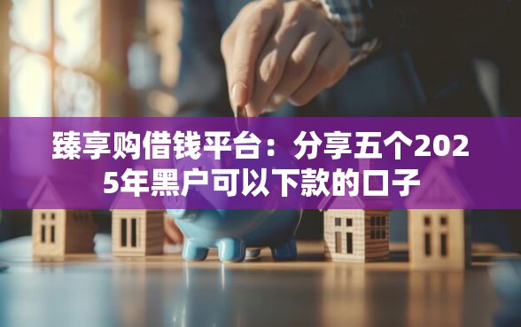 臻享购借钱平台：分享五个2025年黑户可以下款的口子
