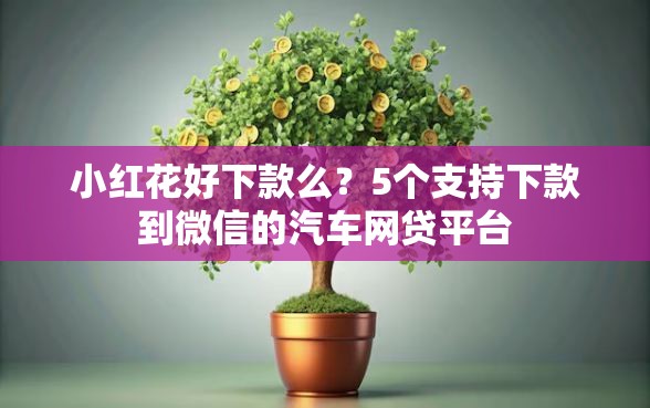 小红花好下款么？5个支持下款到微信的汽车网贷平台