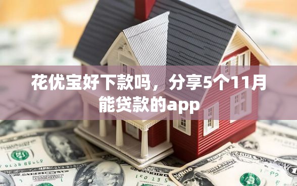 花优宝好下款吗，分享5个11月能贷款的app