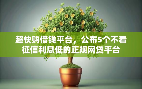 超快购借钱平台，公布5个不看征信利息低的正规网贷平台