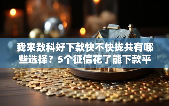 我来数科好下款快不快拢共有哪些选择？5个征信花了能下款平台详解