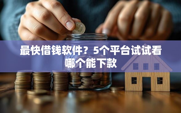 最快借钱软件？5个平台试试看哪个能下款