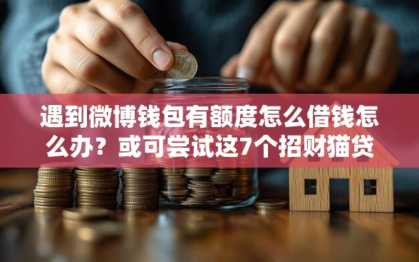 遇到微博钱包有额度怎么借钱怎么办？或可尝试这7个招财猫贷款平台怎么样