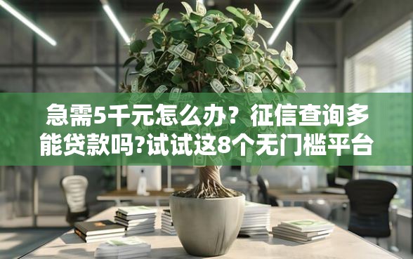急需5千元怎么办？征信查询多能贷款吗?试试这8个无门槛平台