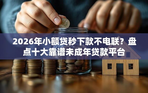 2026年小额贷秒下款不电联？盘点十大靠谱未成年贷款平台