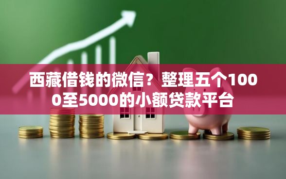 西藏借钱的微信？整理五个1000至5000的小额贷款平台