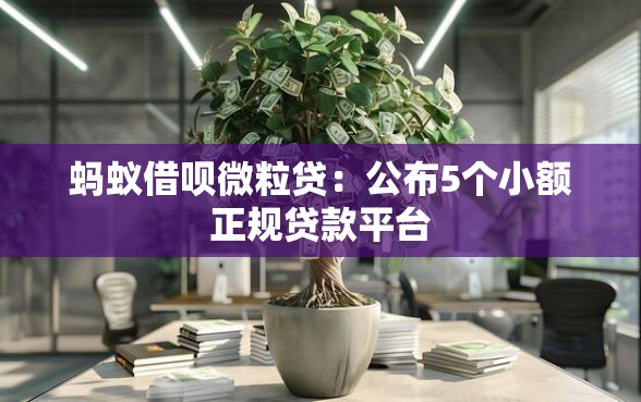 蚂蚁借呗微粒贷：公布5个小额正规贷款平台