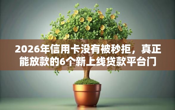 2026年信用卡没有被秒拒，真正能放款的6个新上线贷款平台门槛低软件推荐