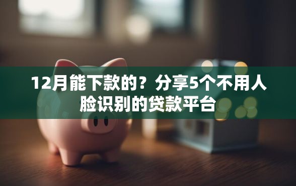 12月能下款的？分享5个不用人脸识别的贷款平台