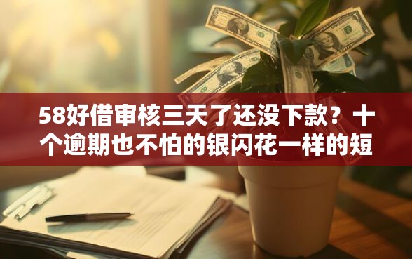 58好借审核三天了还没下款？十个逾期也不怕的银闪花一样的短期平台