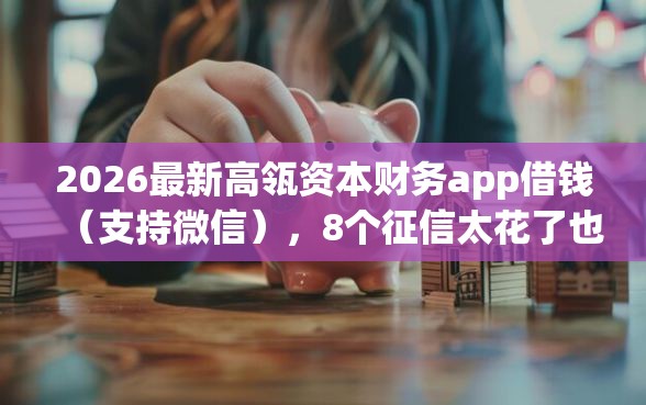 2026最新高瓴资本财务app借钱（支持微信），8个征信太花了也能借钱的平台无私分享