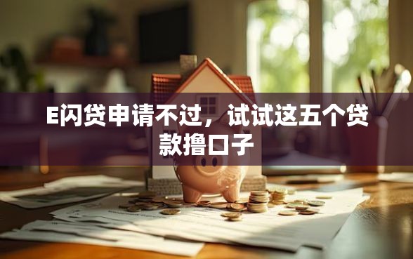 E闪贷申请不过，试试这五个贷款撸口子