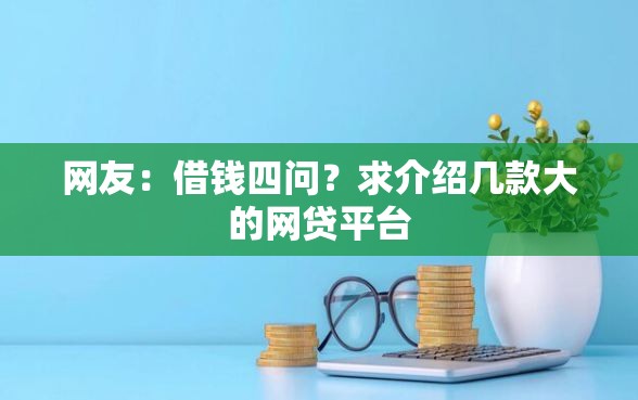 网友：借钱四问？求介绍几款大的网贷平台