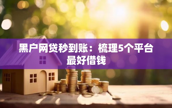 黑户网贷秒到账：梳理5个平台最好借钱
