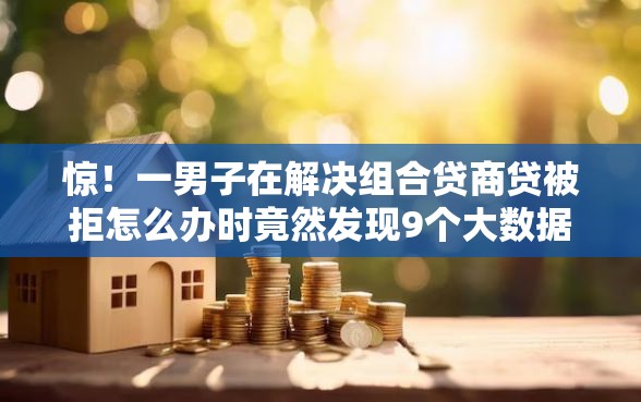 惊！一男子在解决组合贷商贷被拒怎么办时竟然发现9个大数据不好平台可以借钱，事后分享了出来