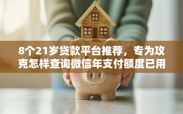 8个21岁贷款平台推荐，专为攻克怎样查询微信年支付额度已用多少难题
