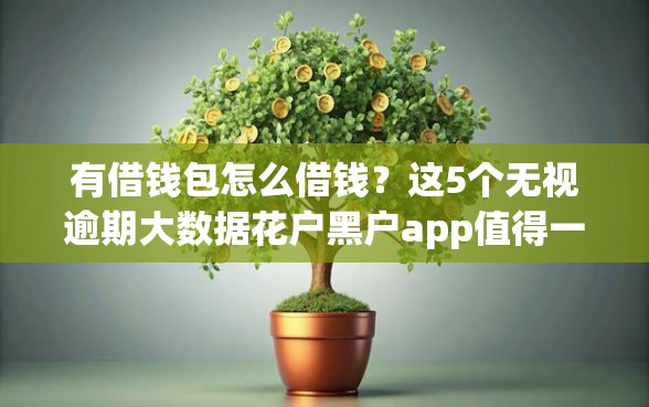 有借钱包怎么借钱？这5个无视逾期大数据花户黑户app值得一试