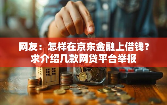 网友：怎样在京东金融上借钱？求介绍几款网贷平台举报