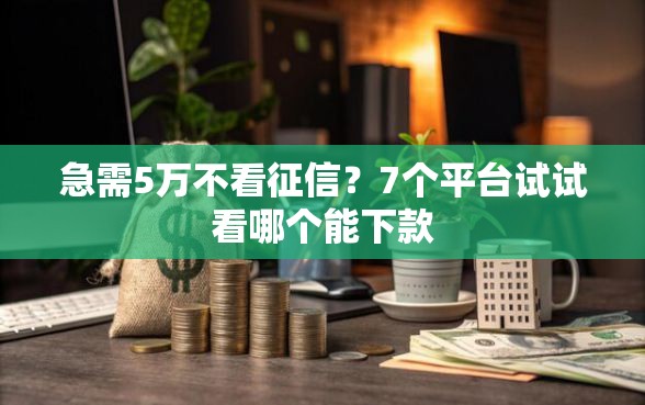 急需5万不看征信？7个平台试试看哪个能下款