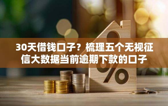 30天借钱口子？梳理五个无视征信大数据当前逾期下款的口子