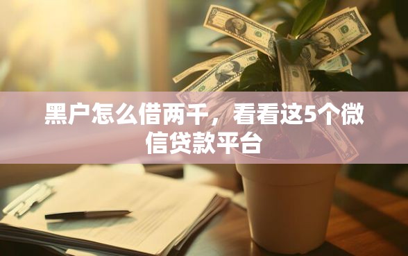 黑户怎么借两千，看看这5个微信贷款平台